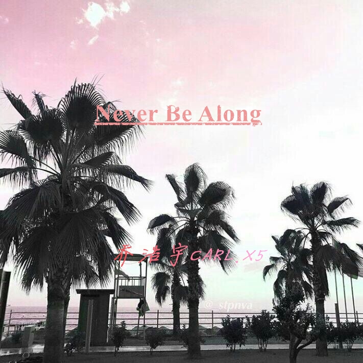 Never  Be  Along Original  Mix