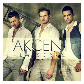 I' m Sorry Notrack Radio Edit