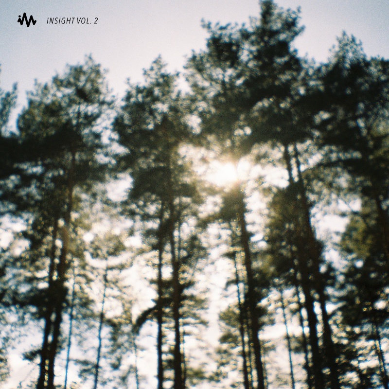 Sarin (Gold Falls Remix)