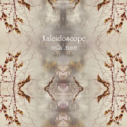 Kaleidoscope