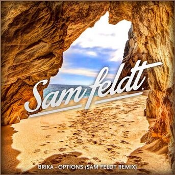 Options (Sam Feldt Remix)