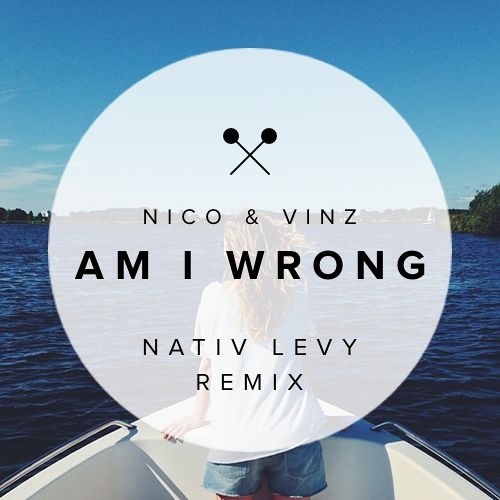 Am I Wrong (Nativ Levy Remix)