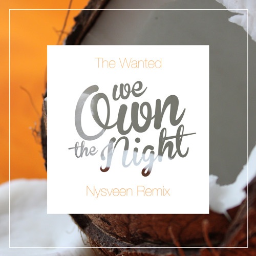 We Own The Night (Nysveen Remix)