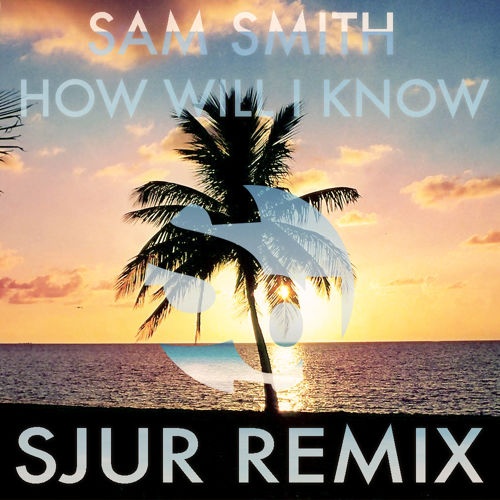 How Will I Know (SJUR Remix) 