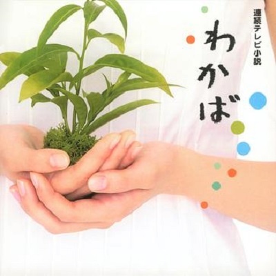 せつない想い Xiang Lyrics Follow Lyrics