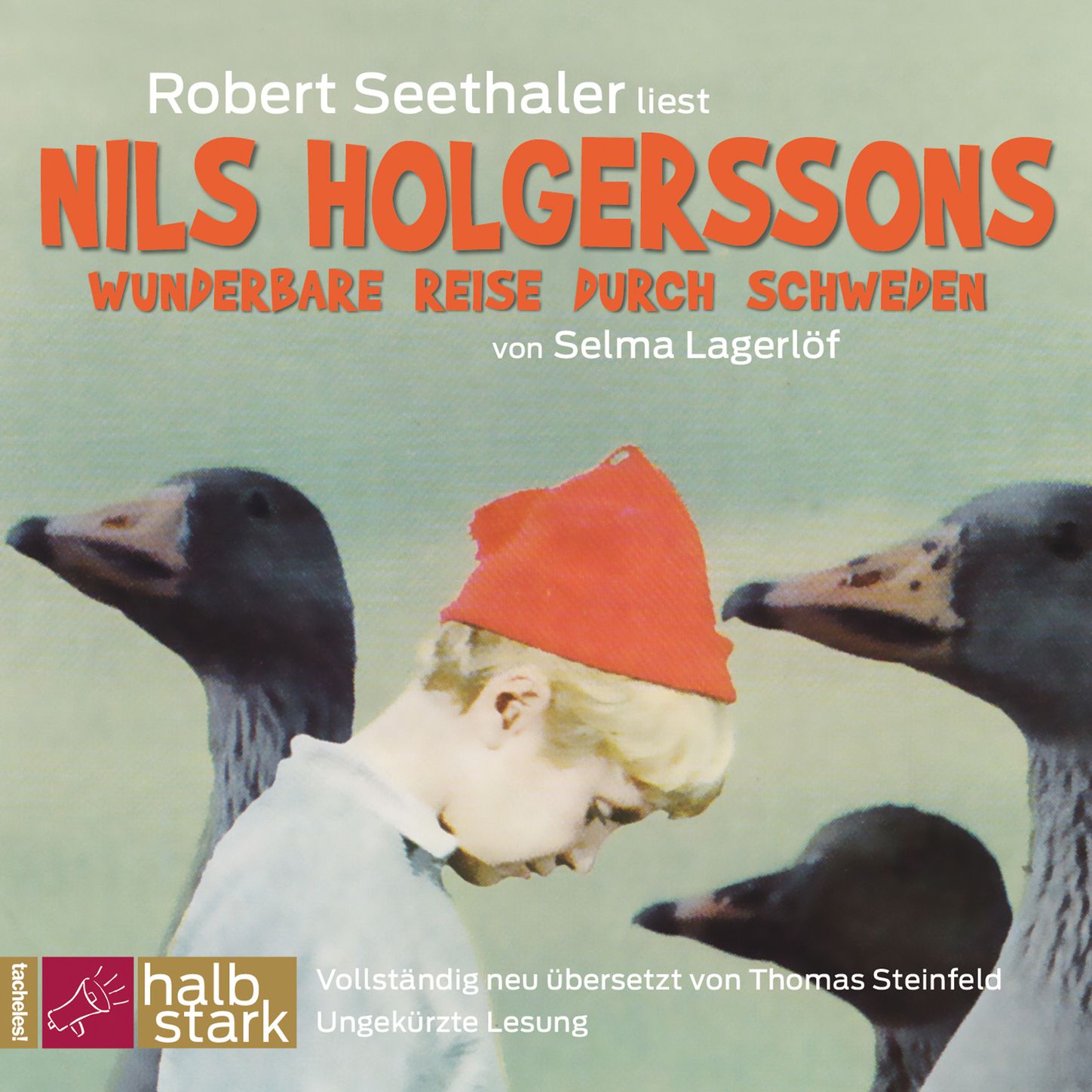 Nils Holgerssons wunderbare Reise durch Schweden, Teil 1