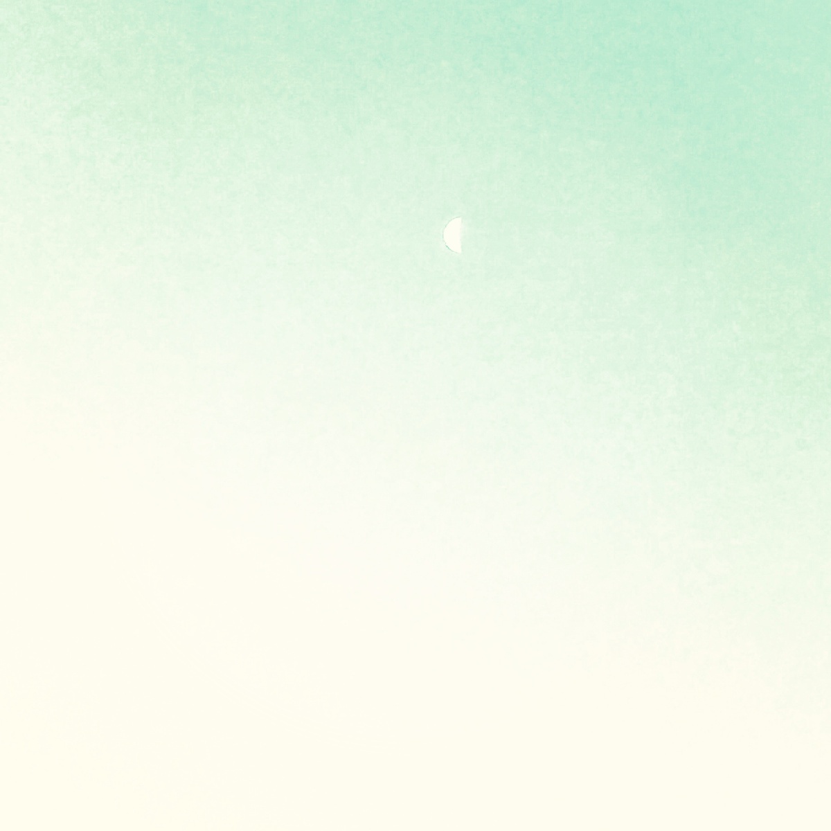 fang ke hou chui zou le