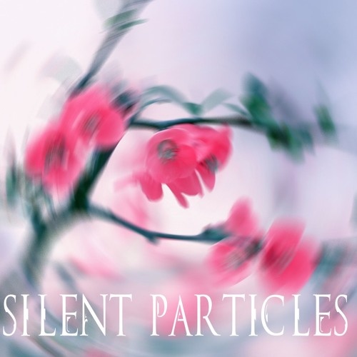 Silent Particles
