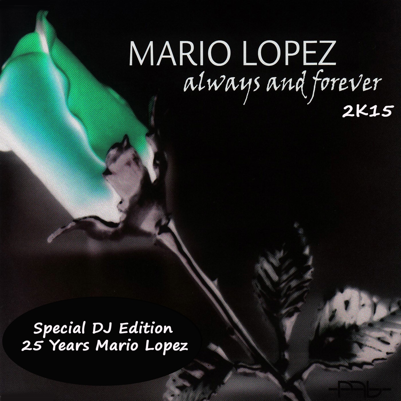 Always and Forever (Original Radio Vocal Mix)