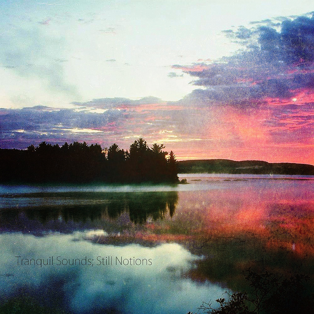 Amber Shade Pt. V Letters from New Delhi