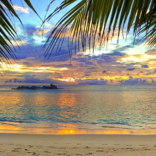 Just Another Night ( Nox & CelDro Remix) 