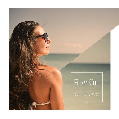 Summer Breeze (Original Mix)