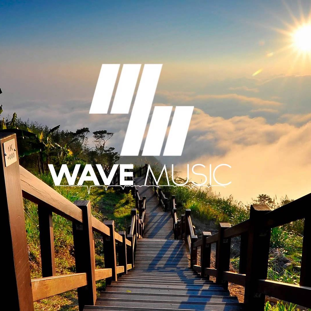 Chasing Cars(Dirty Dropouts Remix)