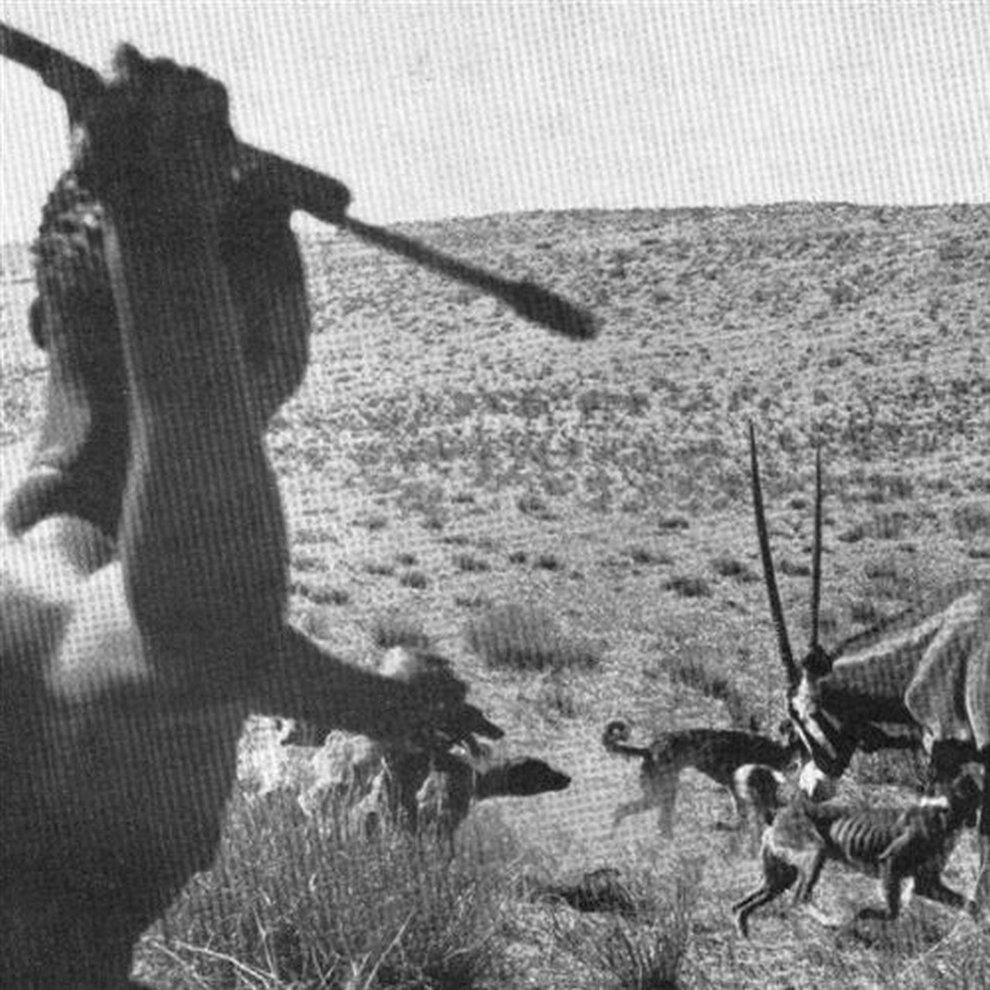 I Can't Drink This, It's Warm!