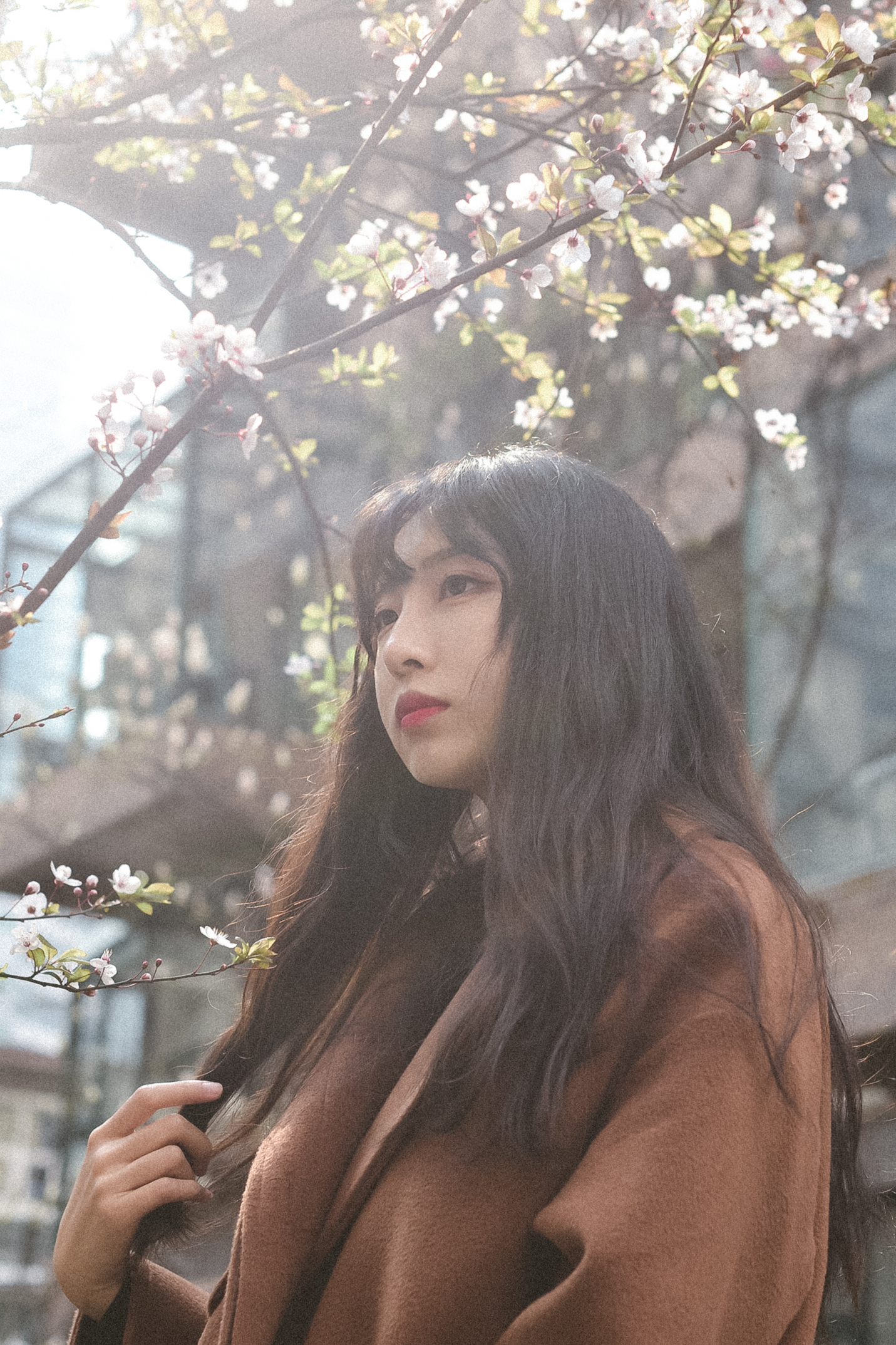 dong yan chu de fan chang zhuan ji