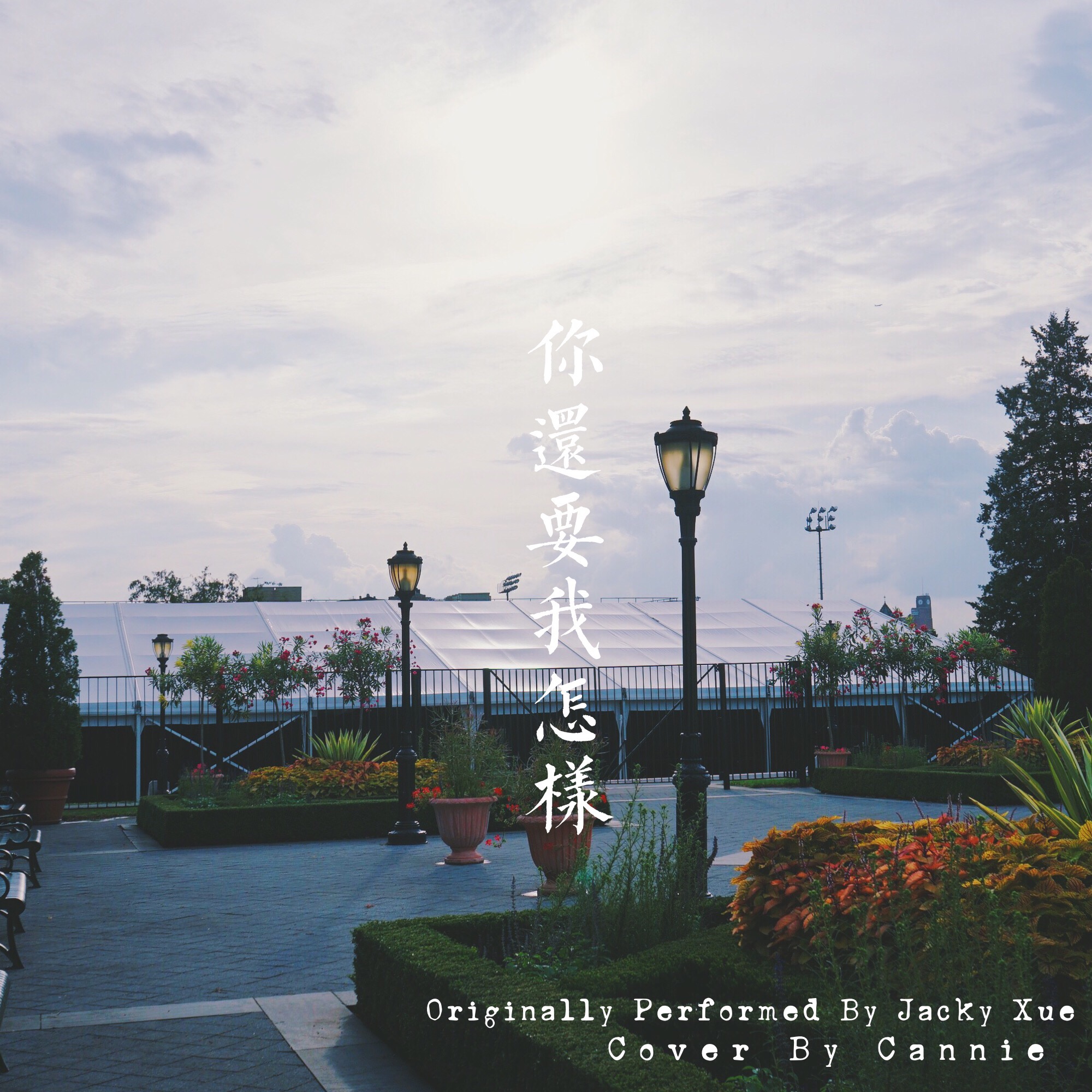 yan yuan Duet Cover xue zhi qian