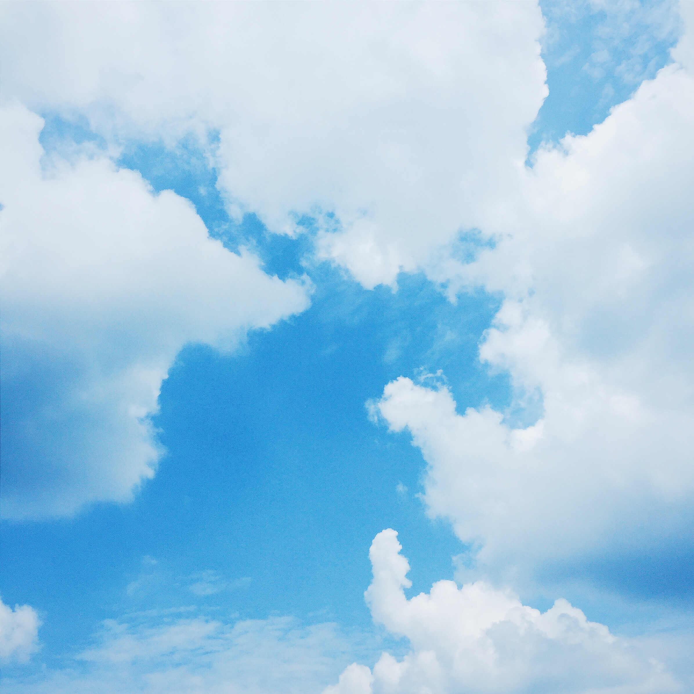 zao gao qing shu Cover pchy