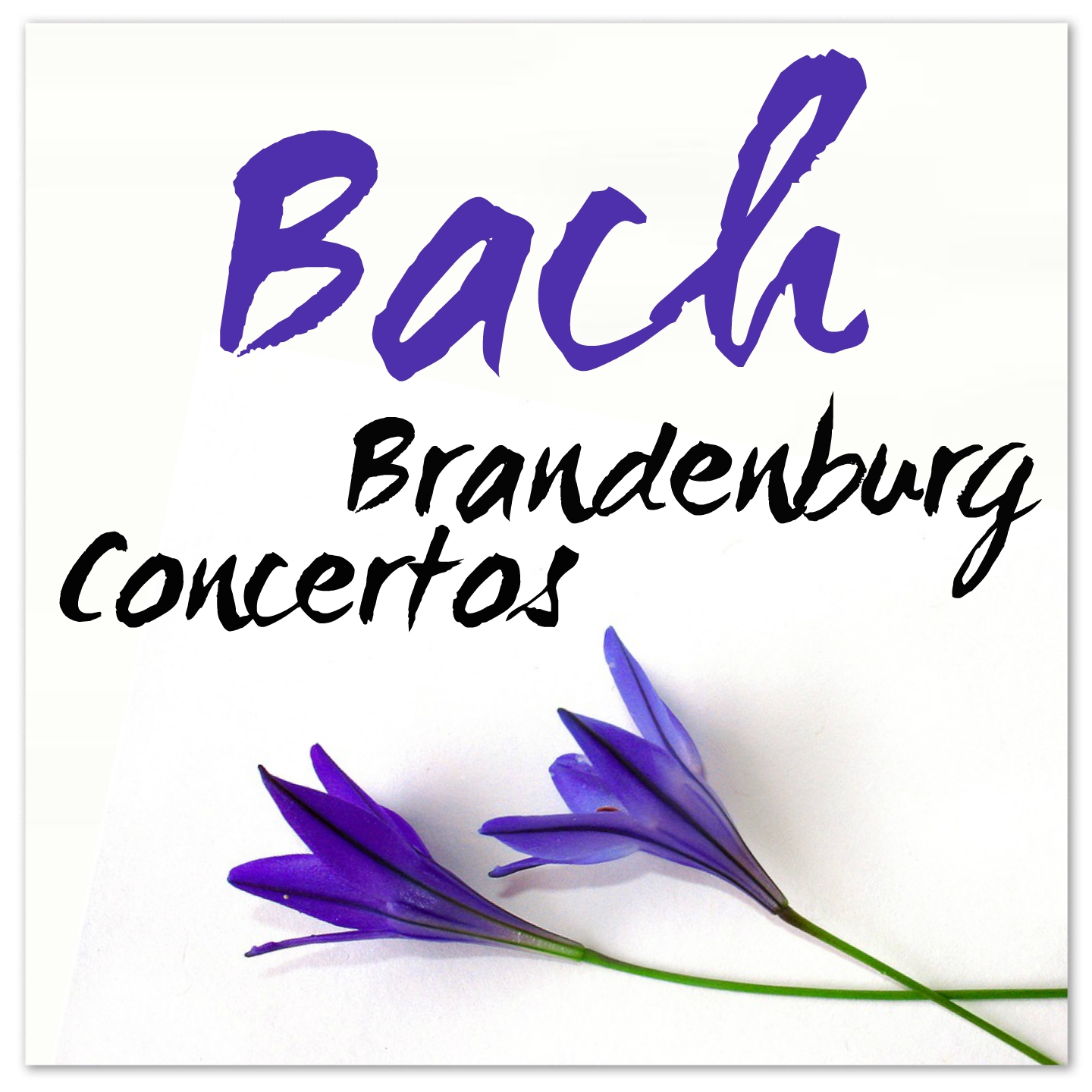Brandenburg Concerto, No.4, BWv1049 "in G major": III. Presto