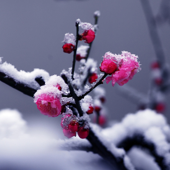 yi jian mei ji ta REMIX