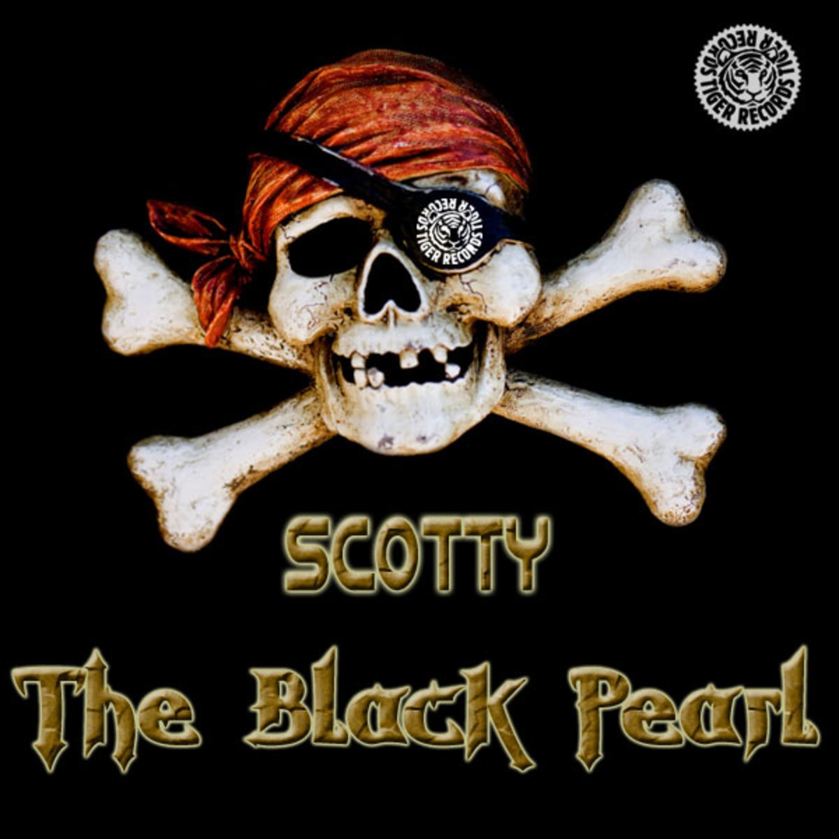 The Black Pearl (Steve Satellite Radio Mix)