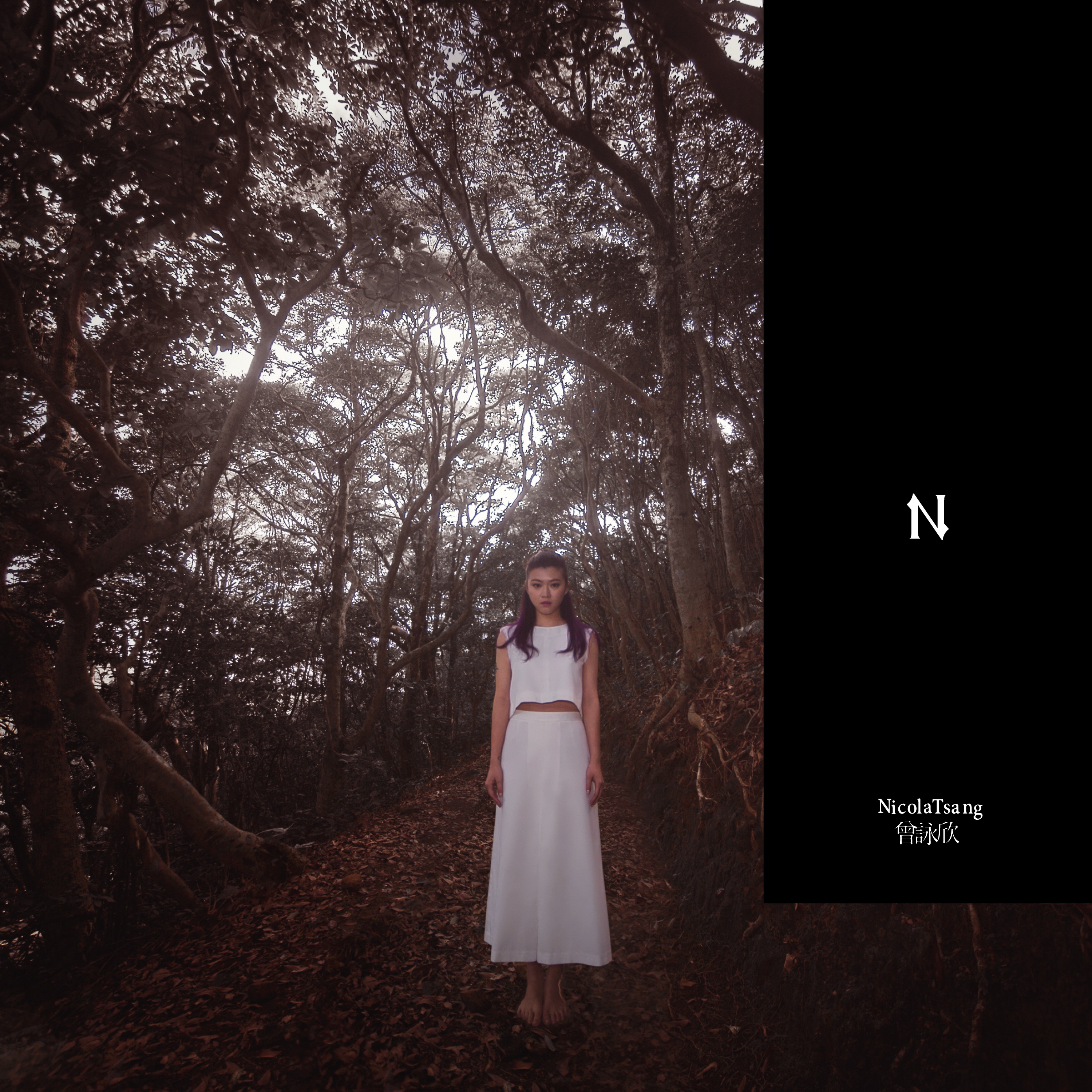 yong yuan de ai li si