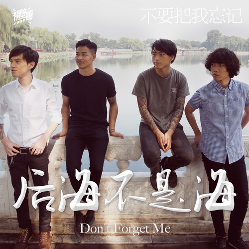 bu yao ba wo wang ji