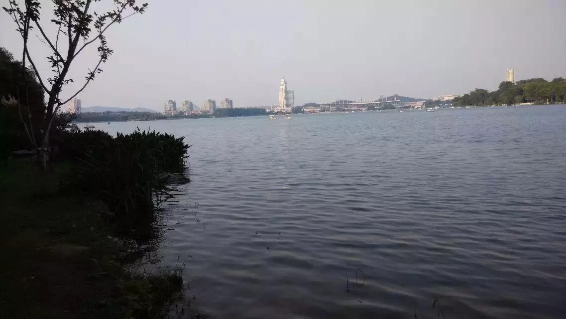 bie rang wo xing lai