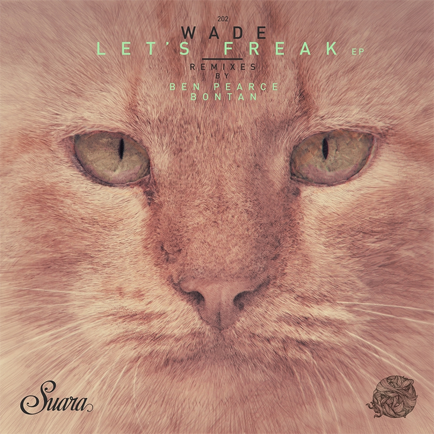 Trucco (Bontan Remix)