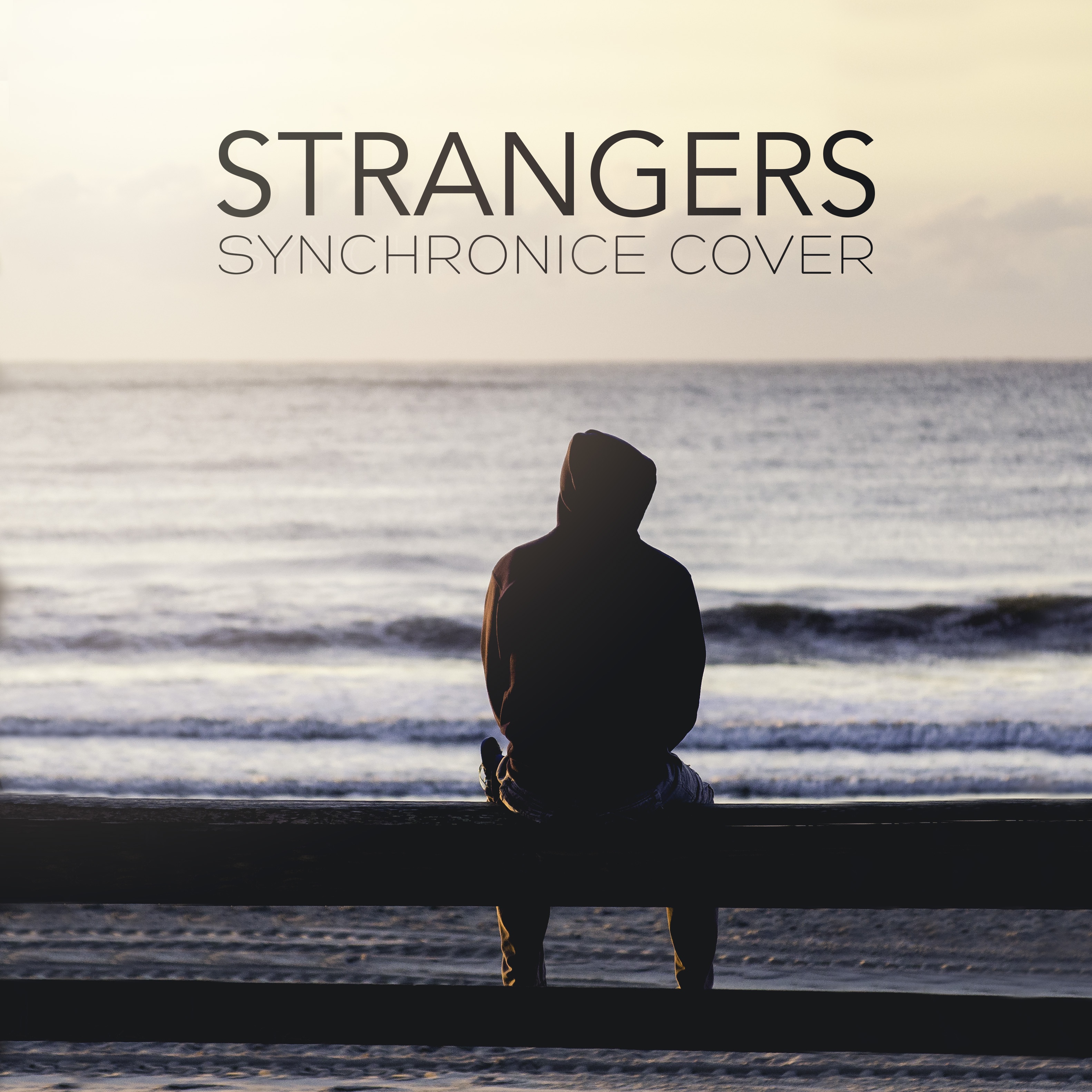 Strangers (Synchronice Cover)