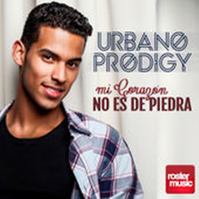 Mi Corazo n No Es de Piedra  Single