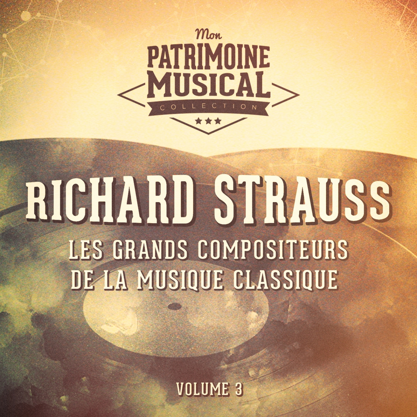 Les grands compositeurs de la musique classique : Richard Strauss, Vol. 3