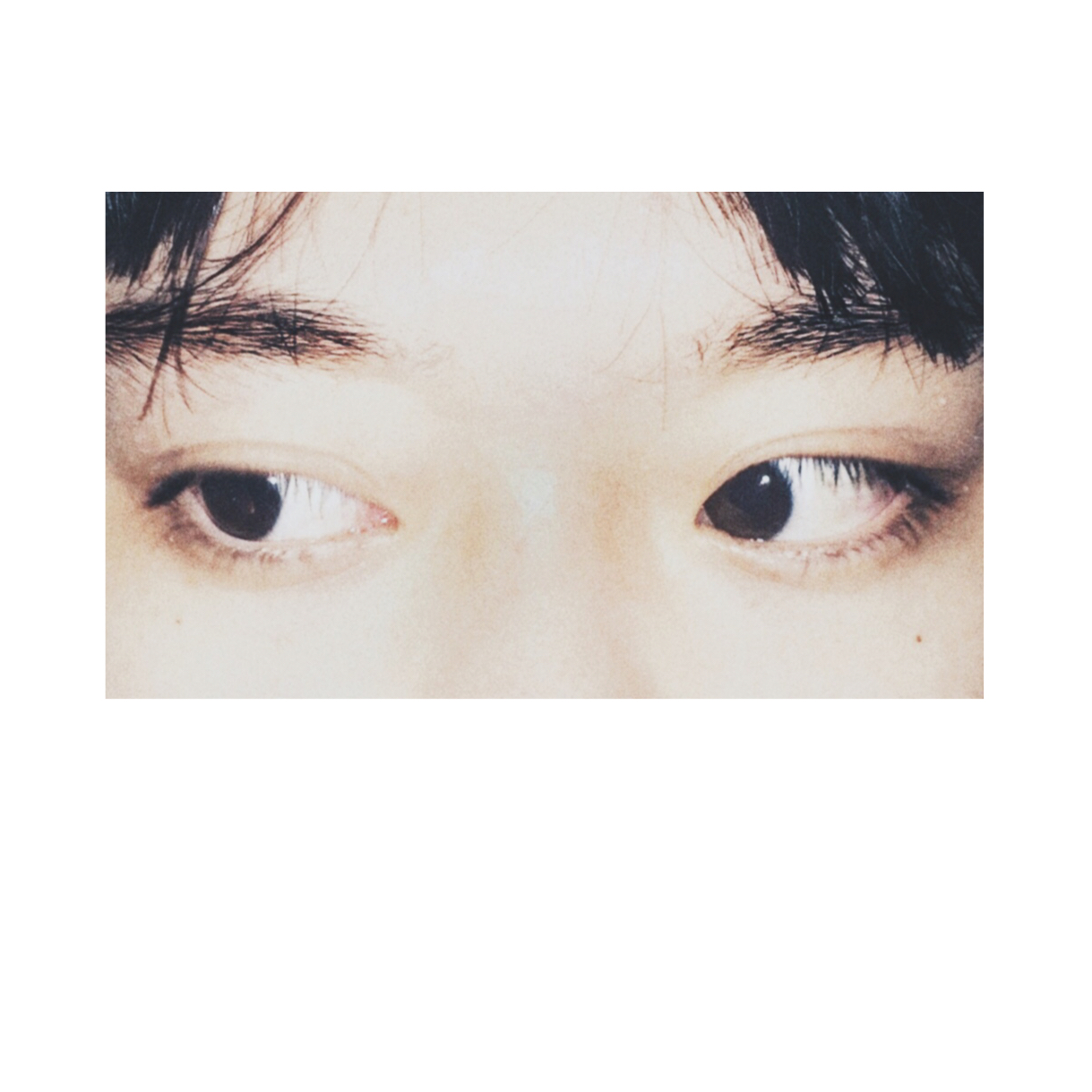 ni shi wo sheng ming lie feng li tou jin de yi shu guang