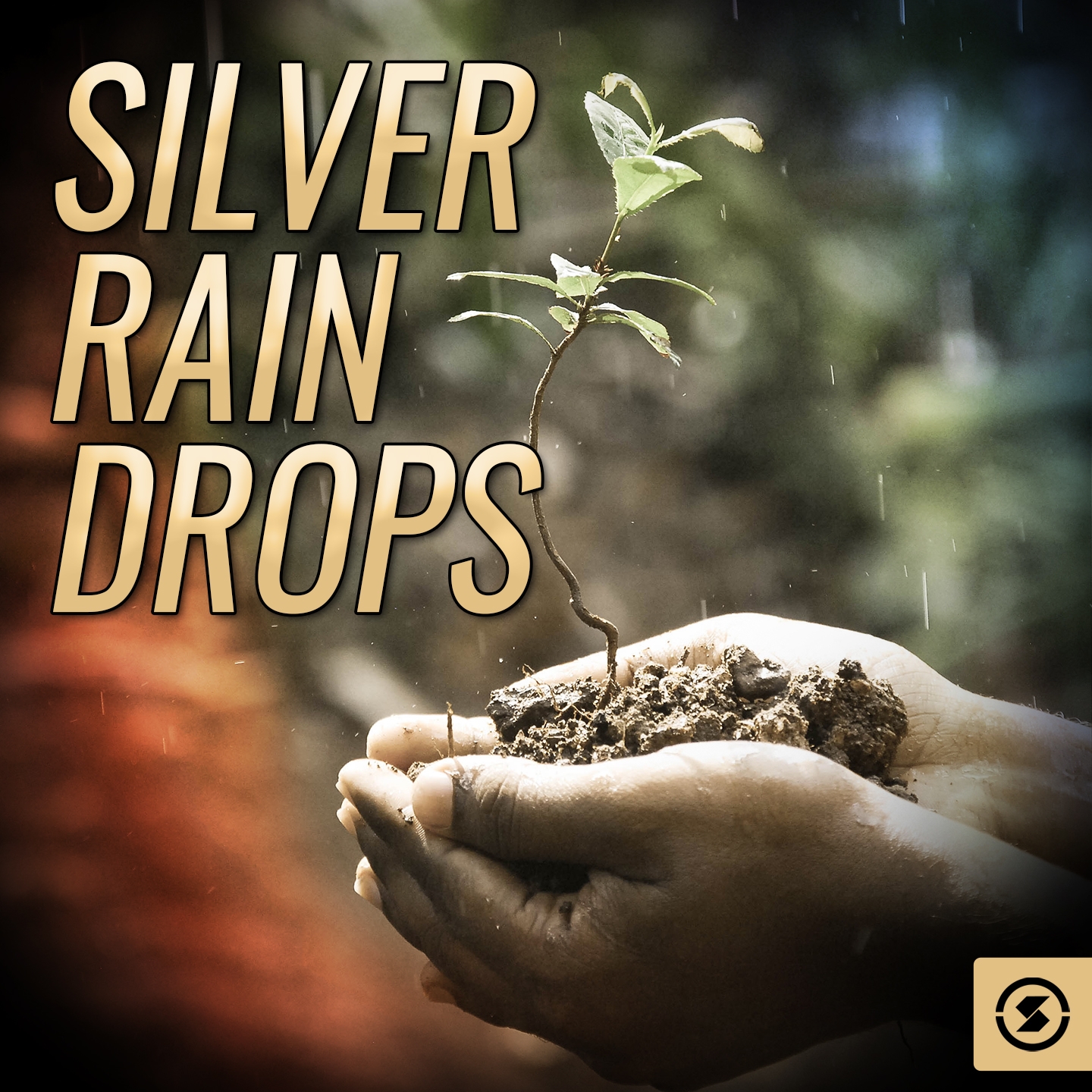 Silver Rain Drops