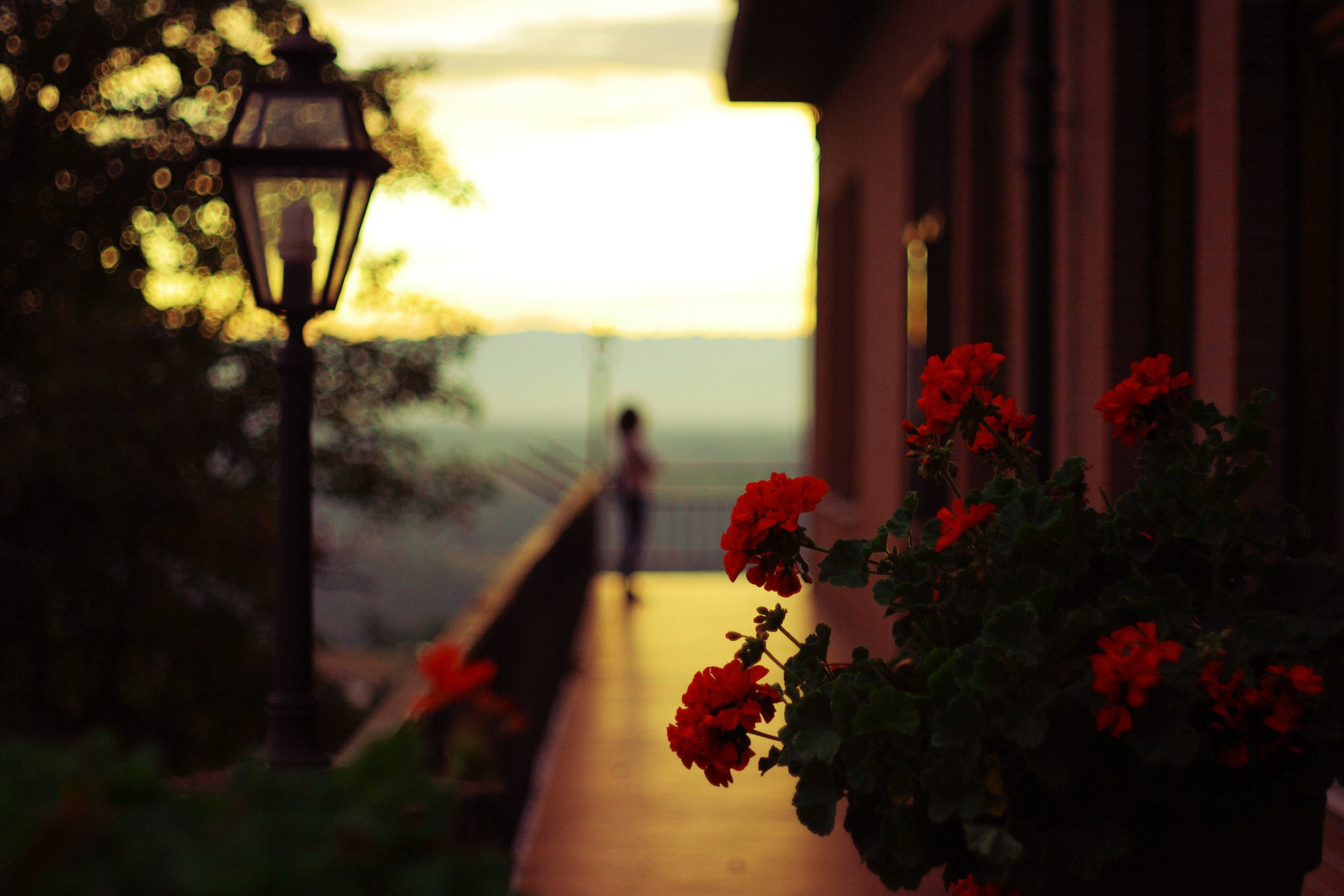 Вечером вы не только. Ночной лос анджелес улицы. Ночные улочки лос анджелеса. Вечер в городе. Красивого вечера.