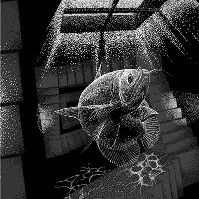 tou ming hua zheng hou qun