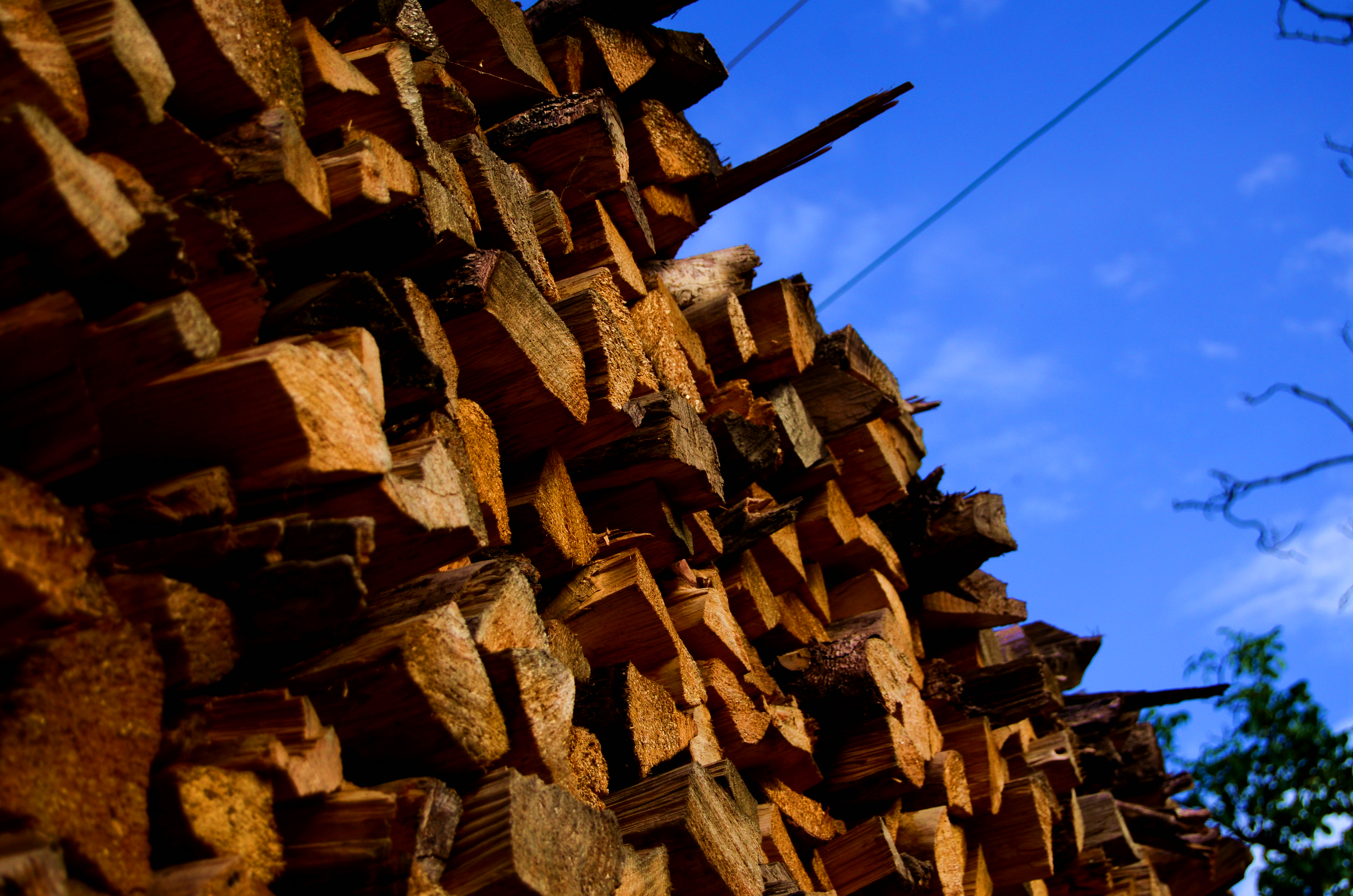 yi ge wen nuan de mi mi