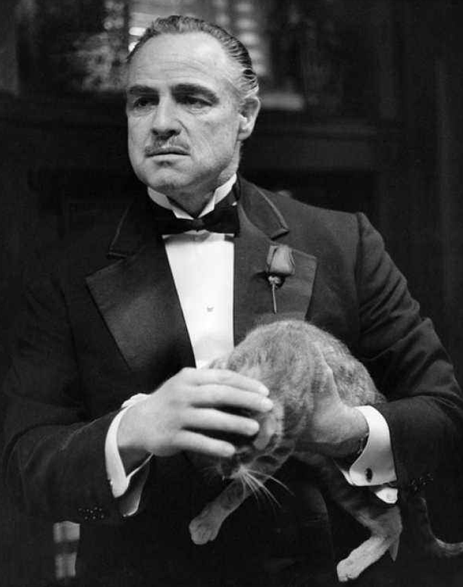 Speak Softly Love  mu ji ta Cover Andy Williams