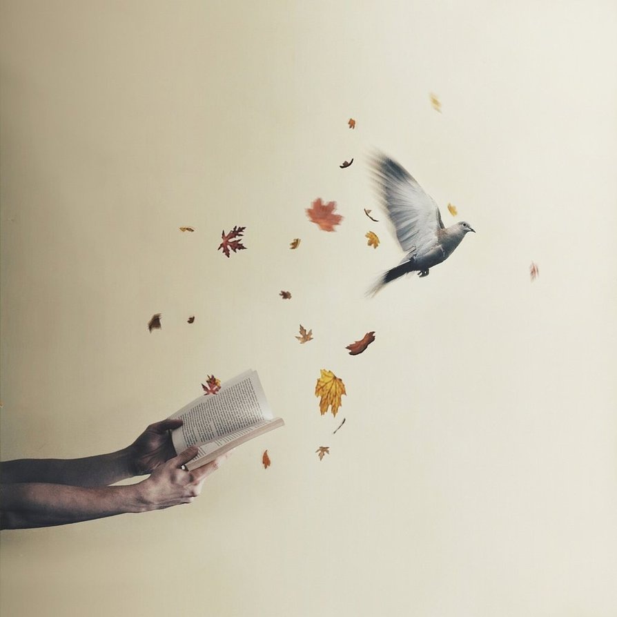 Wesh Up (Spire Remix)