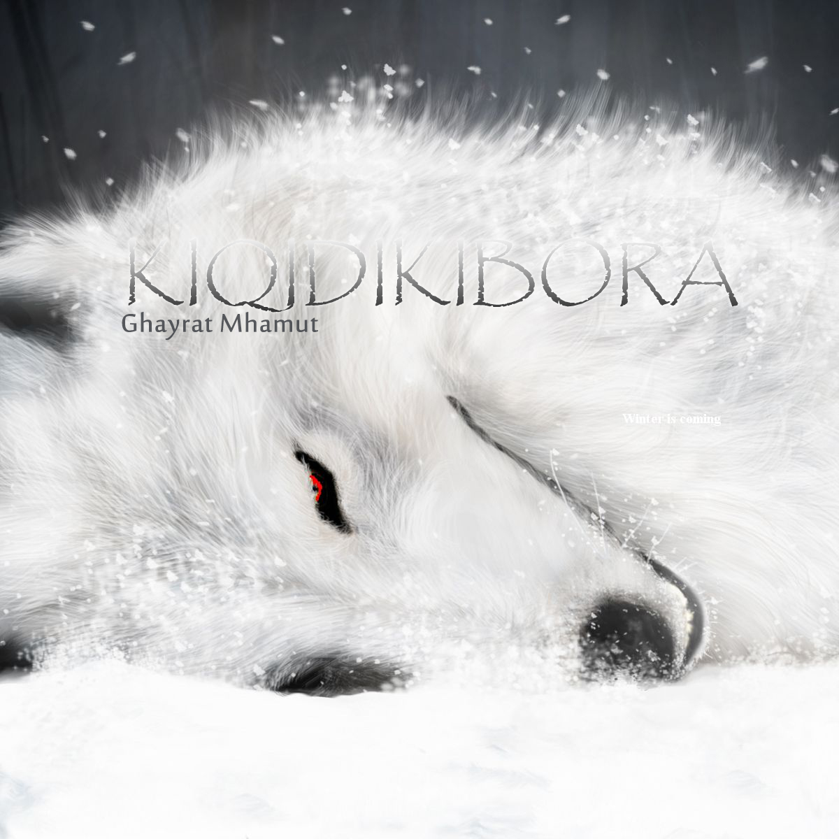 Kiqidiki Bora ye lang