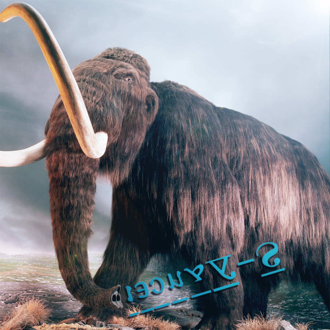 meng ma xiang  Original  Mix