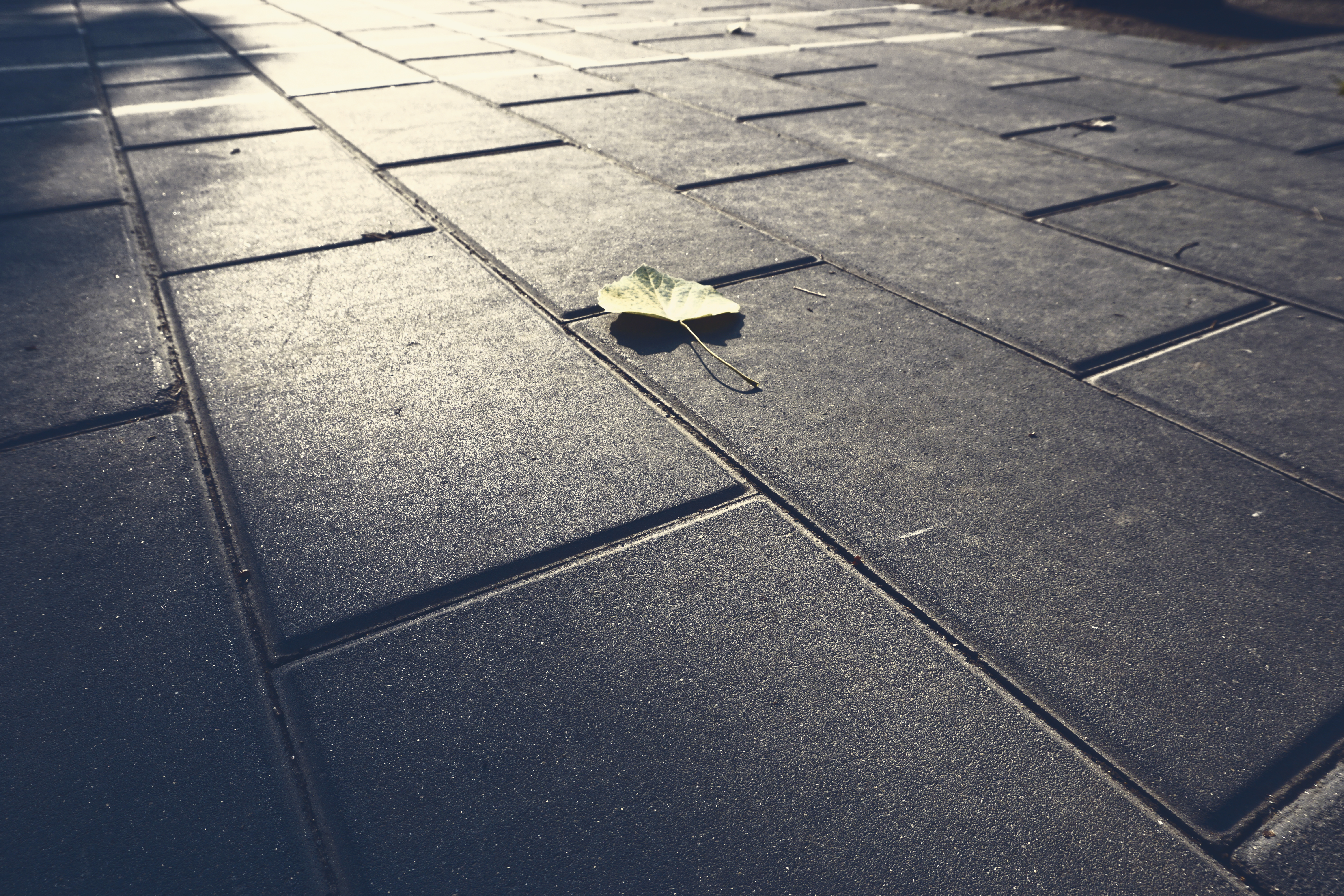 zhu zai bei cheng de gu niang