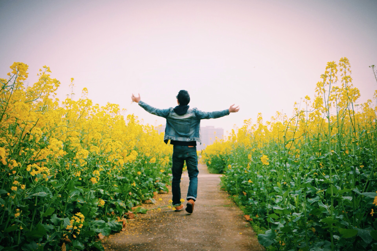 li xiang san xun Cover: chen hong yu