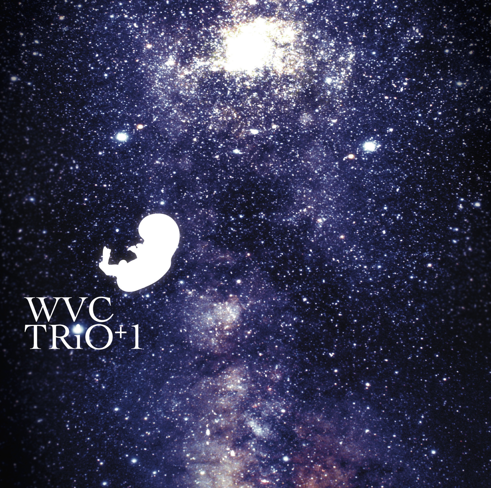 06  Cat  On  Catnip