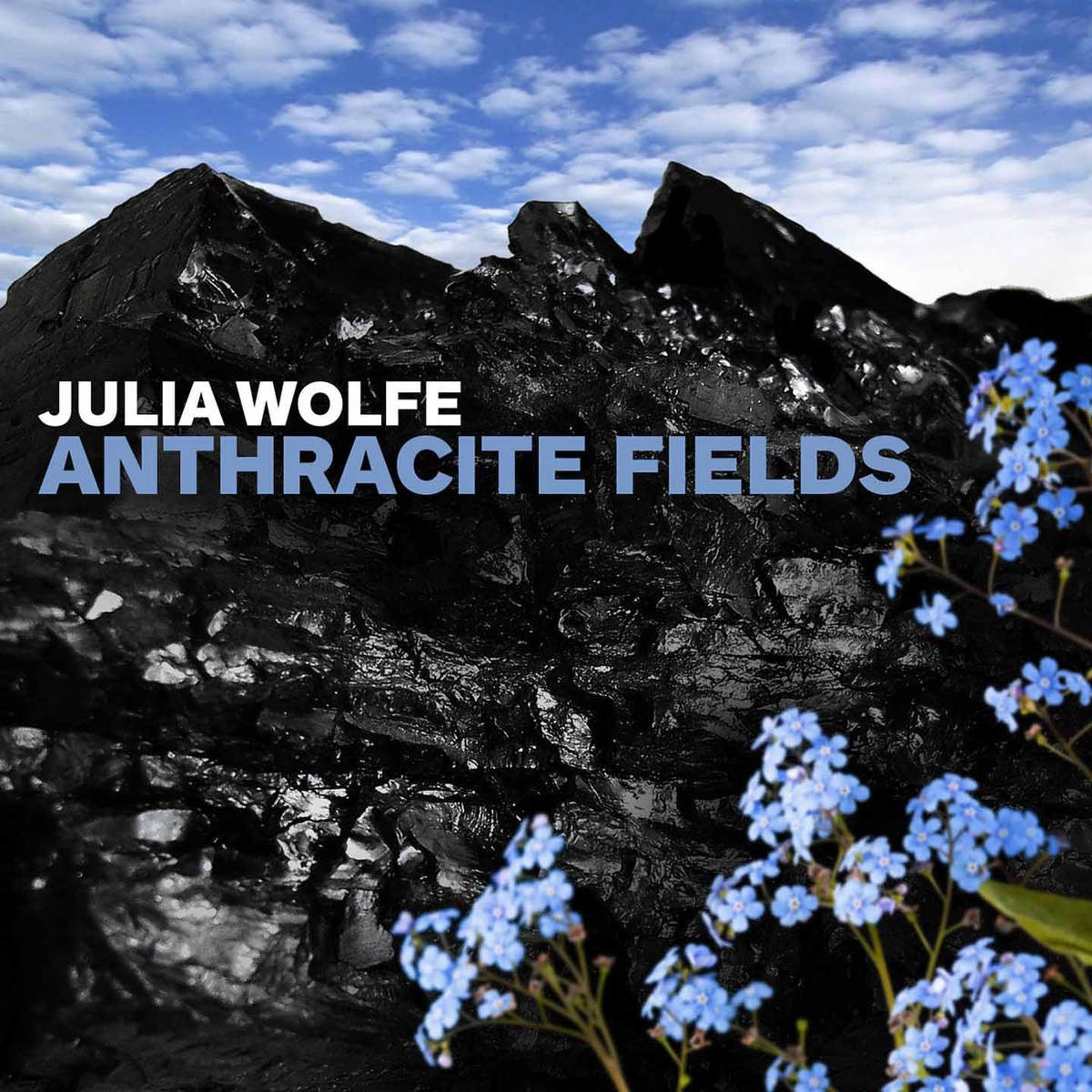 Anthracite Fields: IV. Flowers