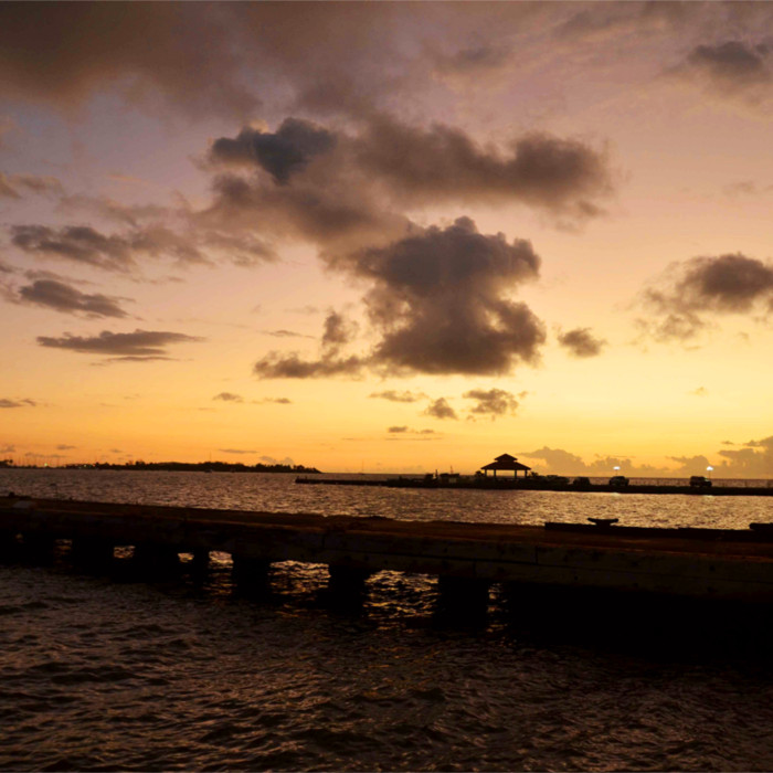 deng bu dao ni Cover wang su long