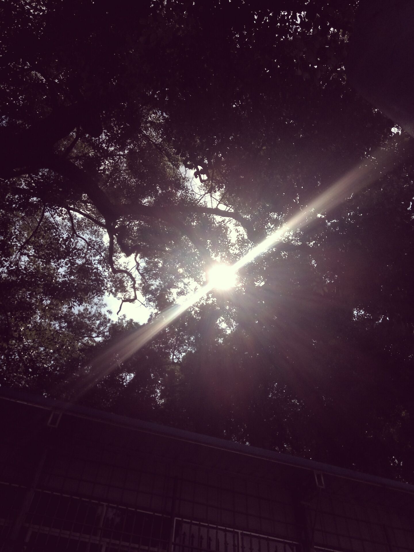 3D Hello and, Good bye