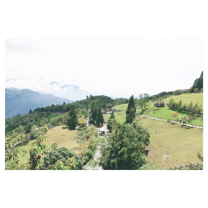 bu xiu zhi zui Cover: shuang sheng xuan shang