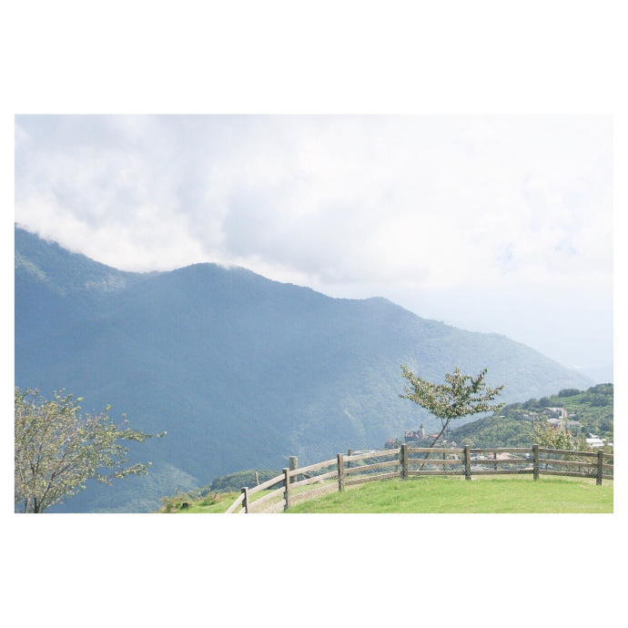 lemon Cover mi jin xuan shi