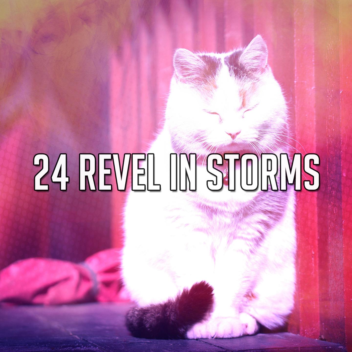 24 Revel In Storms