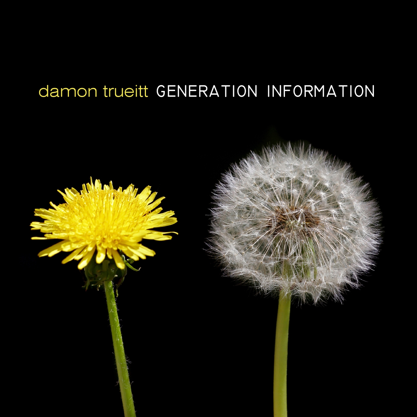 Generation Information (Yost's Deep Information Dub)